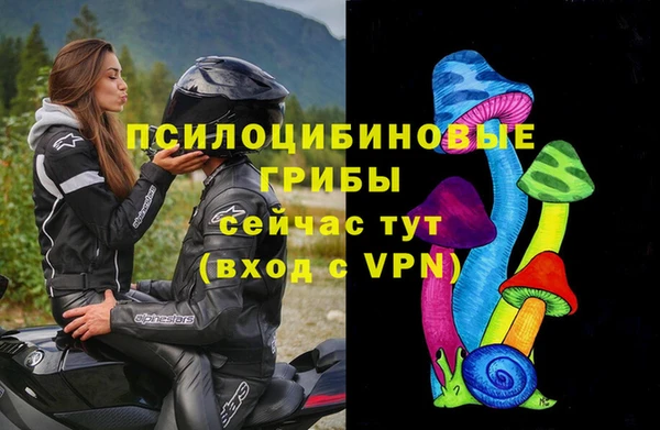 ECSTASY Алексин